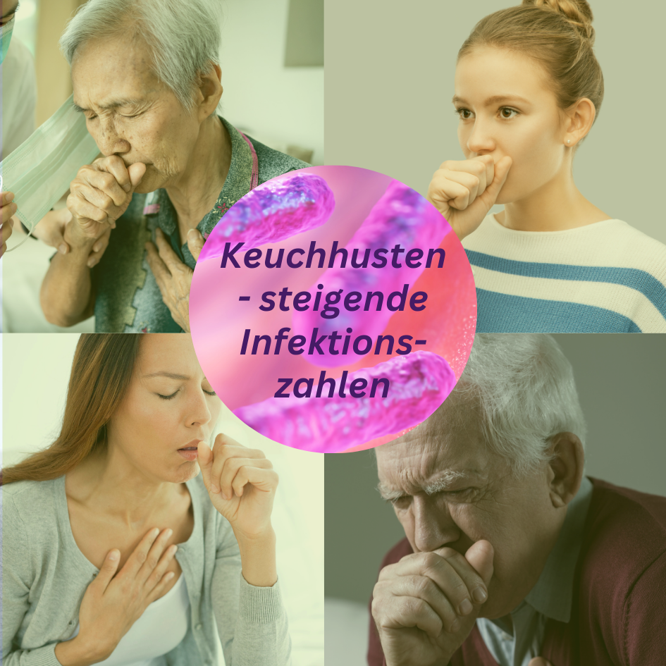 Eine Atemwegskrankheit meldet sich zurück: Der Keuchhusten