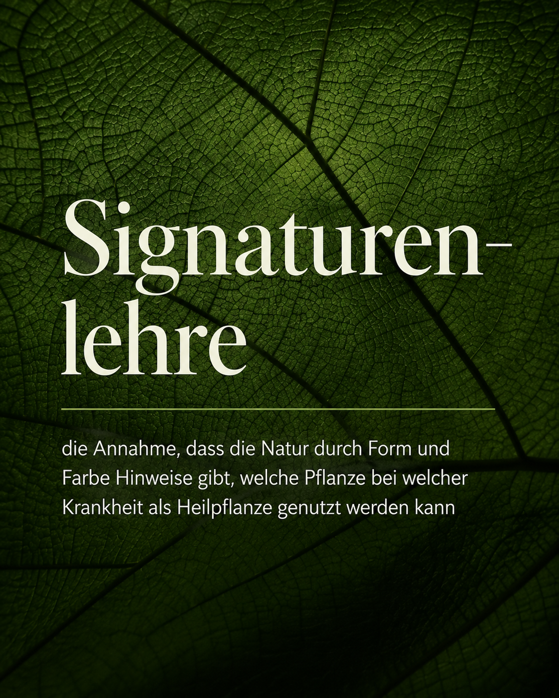 Illustration zur Signaturenlehre, günes Blatt als Hintergrund