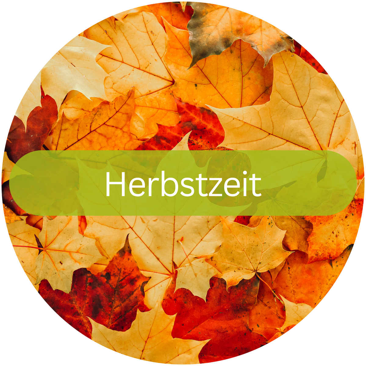 Herbst