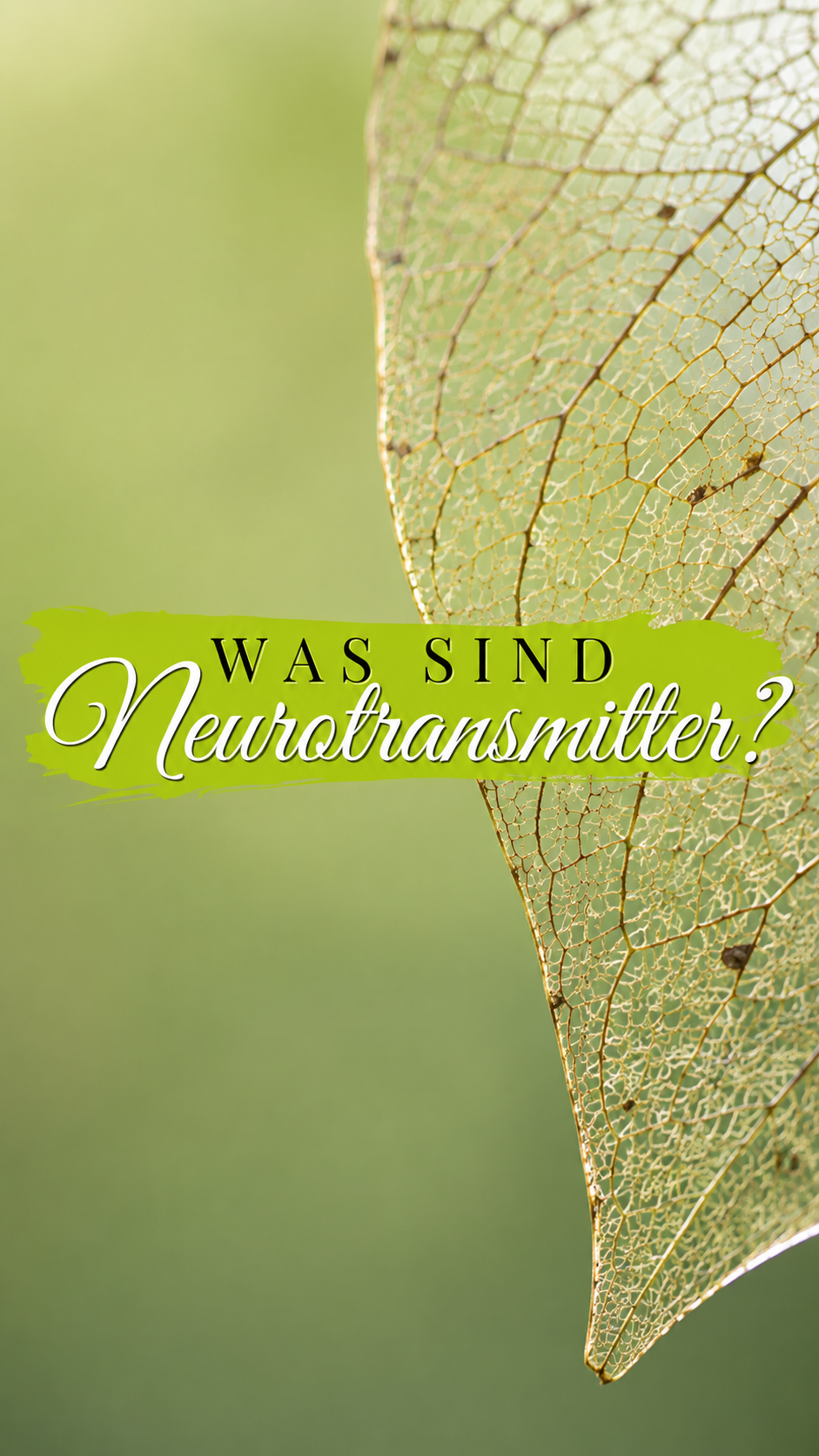 Zartes Blatt als Symbol für Natur, Regulation und Neurotransmitter
