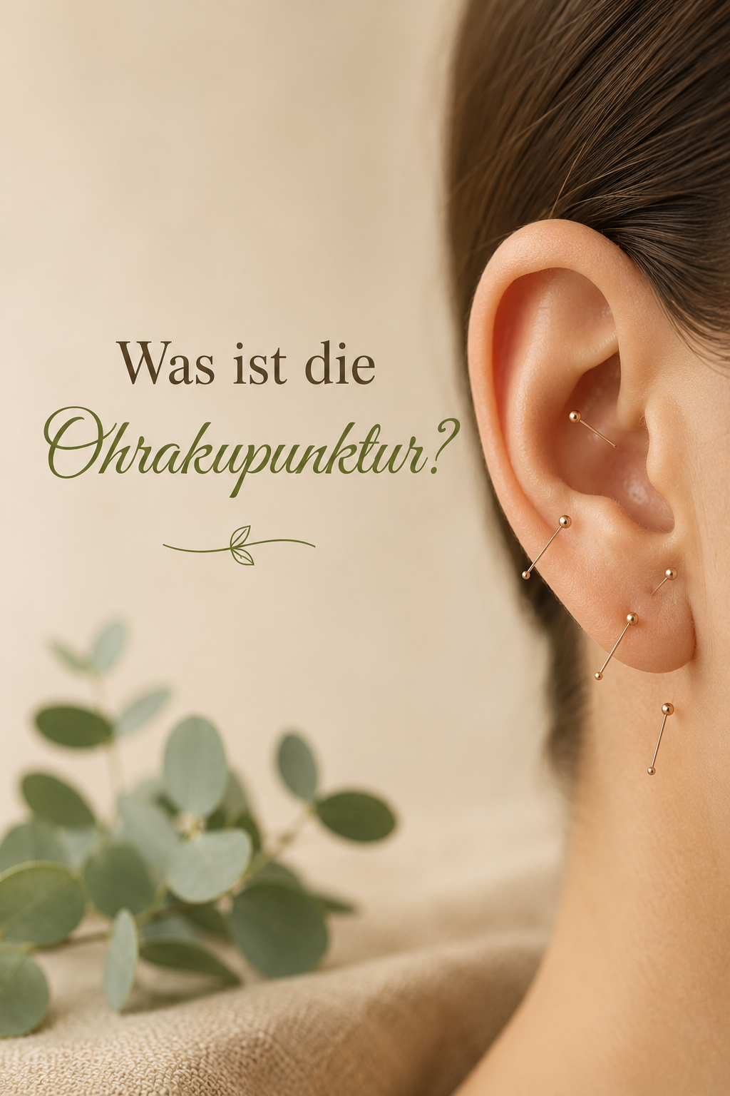 Darstellung der Ohrakupunktur mit Fokus auf Reflexzonen des Ohres