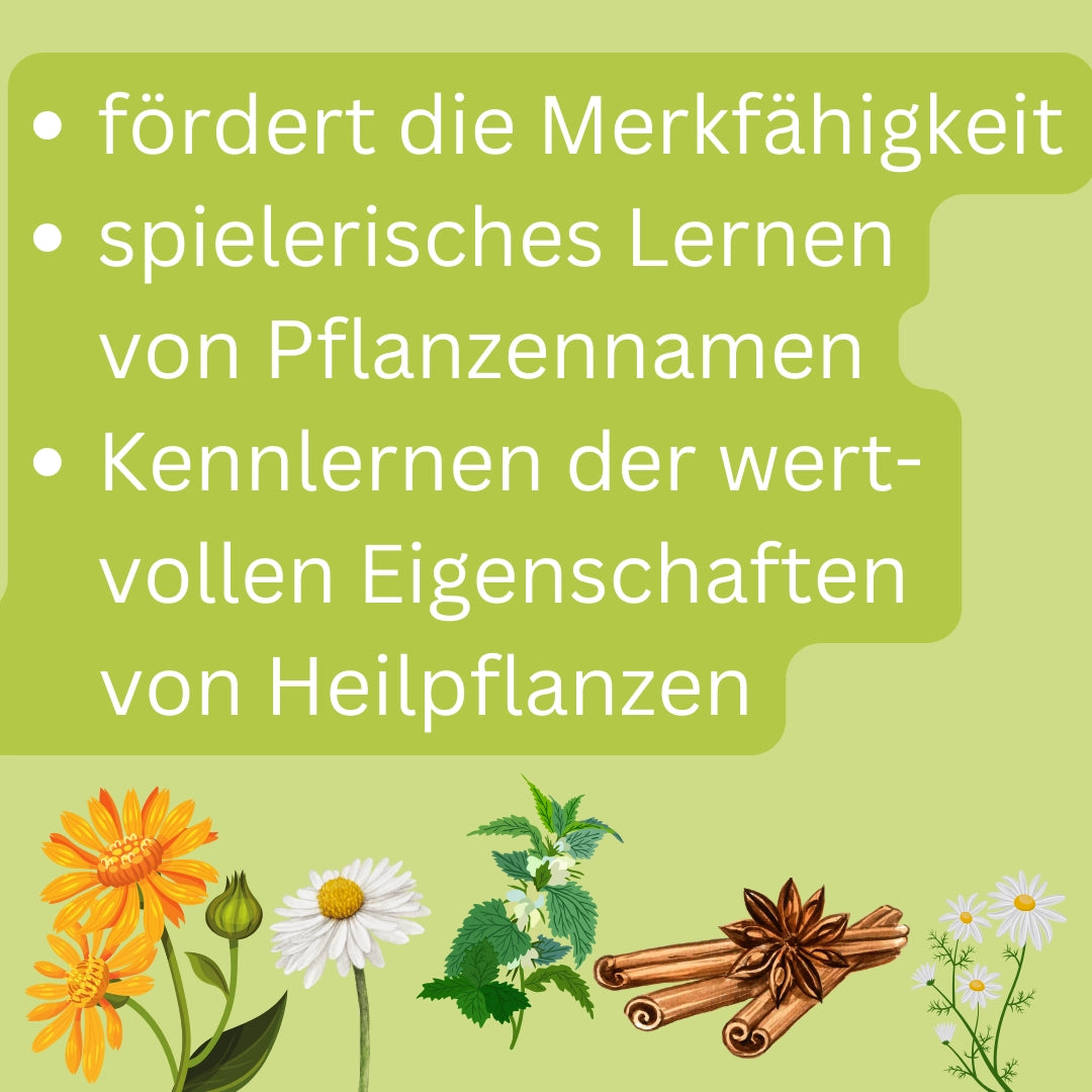 Memo-Spiel "Den Heilpflanzen auf der Spur", 24 Memo-Paare mit Infoheft